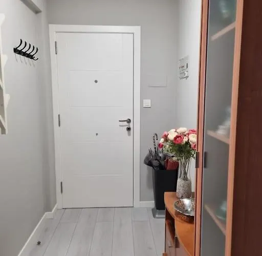 Vibescoruna - Angel 72 *